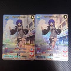 【24時間以内発送】 FGO サマー 謎の代行者C.I.E.L SSR 2枚