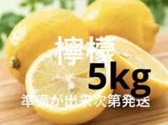 26国産瀬戸田レモン5kg 26国産瀬戸田レモン5kg - メルカリ