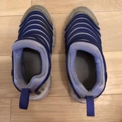 ナイキ ダイナモフリーのサムネイル