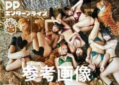 フ*★様 [訳あり]BWL 廃盤限定ポスター PPエンタープライズ 両面B2ポスター ヤングアニマル13号付録 ×3枚