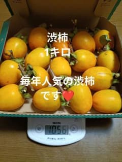 毎年大人気です！！渋柿T字カット1キロ　10月12日収穫のサムネイル