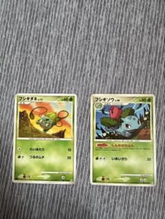 ポケモンカード フシギダネ フシギソウ 2枚セット - メルカリ