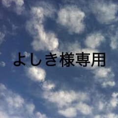 よしき様専用 ベビージーのサムネイル