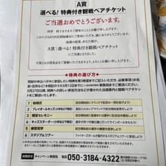 ファイターズ観戦チケット 特典付きのサムネイル