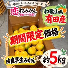 和歌山県産 由良早生みかん 約5kg 3S 小玉 農家直送 期間限定価格のサムネイル