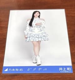 乃木坂46 井上和 ビリヤニ 生写真 ヒキ - メルカリ