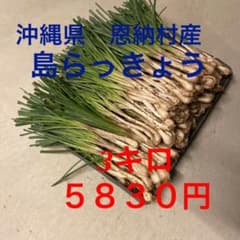 恩納村産 島らっきょうのサムネイル