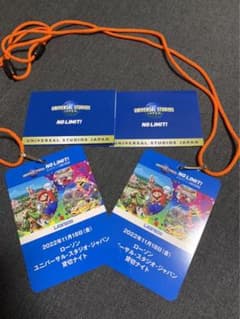 USJナイト貸切チケットのサムネイル