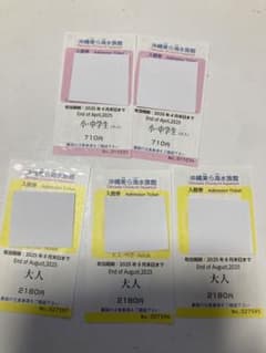 沖縄美ら海水族館 入場券 大人・小中学生のサムネイル