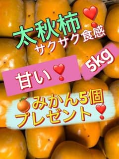 太秋柿 サクサク食感5kg + みかん5個プレゼント❣️のサムネイル
