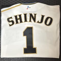 2004年 北海道日本ハムファイターズ 新庄剛志 プロコレクション