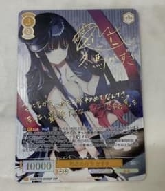 m23239353299_1.jpg?1774791211