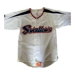 k*c様 ヤクルトスワローズ．石川投手のサムネイル