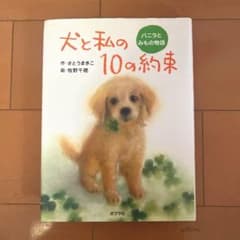 犬と私の10の約束のサムネイル