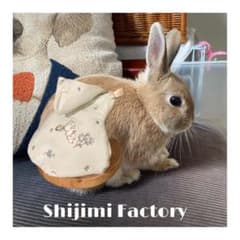 うさぎ用ハーネスのサムネイル