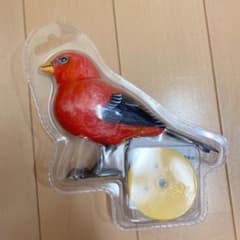 Francfranc 小鳥のサムネイル