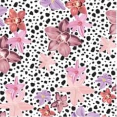 まるちーず様　専用のサムネイル