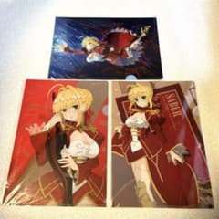 Fate/EXTRA Last Encore 클리어 파일 A4 3장 세트