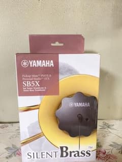 YAMAHA SILENT SB5Xのサムネイル