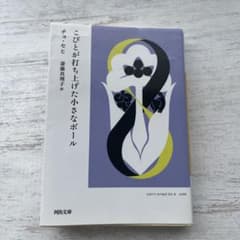 こびとが打ち上げた小さなボール チョ・セヒ著河出文庫のサムネイル