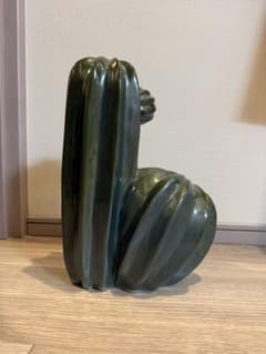 廃盤希少HAY Cacti Dos サボテン オブジェ 置物 ダークグリーン 廃盤希少HAY Cacti Dos サボテン オブジェ 置物 ダークグリーン - メルカリ