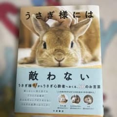 うさぎ様には敵わないのサムネイル