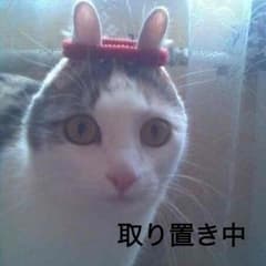 にゃにゃさん取り置き中のサムネイル