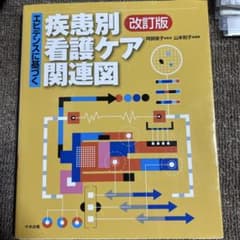 エビデンスに基づく疾患別看護ケア関連図のサムネイル