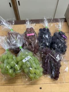 夏物値下げ中❣❣　❀千鶴❀ 様専用のサムネイル