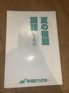 夏の宿題 国語 5年R 早稲田アカデミーのサムネイル