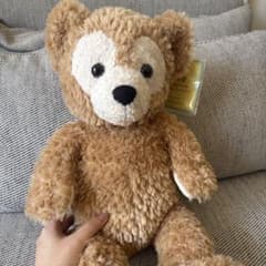 Duffy The Disney Bear ぬいぐるみのサムネイル