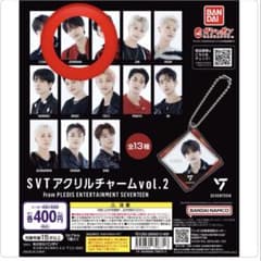 SVT 아크릴 매력 vol.2 정한