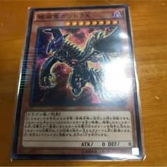 遊戯王 破滅竜ガンドラXのサムネイル