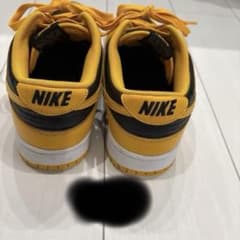 NIKE DUNK LOW 29㎝のサムネイル