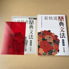 新精選古典文法改訂版のサムネイル