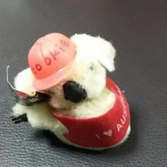 オースラトリア　コアラ　ぬいぐるみのサムネイル