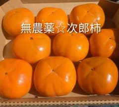 柿☆埼玉県産　次郎柿　4のサムネイル