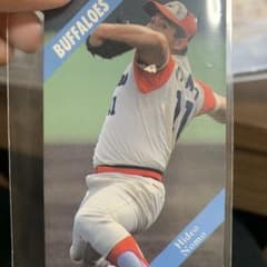 野茂英雄 1994 カルビー 野球カード 激レア早い者勝ち - メルカリ
