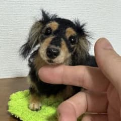 わたわたペット　羊毛フェルト作品　可愛い ミニチュアダックスフンド　ブラックタン わたわたペット 羊毛フェルト作品 可愛い ミニチュアダックスフンド