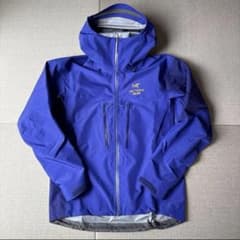 Arc’teryx x Palace Alpha SV Lサイズ アークテリクス