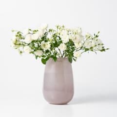 henry dean ストロンボリS ゼフィーロ - メルカリ