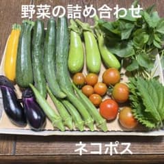 野菜の詰め合わせのサムネイル