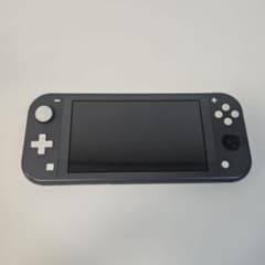 ジャンク Nintendo Switch Lite 本体 グレー - メルカリ