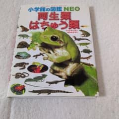 両生類・はちゅう類 小学校の図鑑 NEOのサムネイル