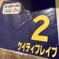 ケイティブレイブ 第64回東京大賞典 競馬　ミニゼッケンのサムネイル