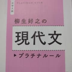 現代文プラチナルール　柳生好之のサムネイル