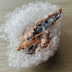 이치 반 쿠지 NARUTO F상 데스크탑 피규어 쿠라마 구미