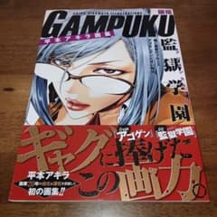 【初版・帯付】平本アキラ画集 GAMPUKU 眼福【特大ポスター付】 平本アキラ画集 GAMPUKU 眼福 : Akira Hiramoto: Amazon.sg: Books