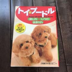 トイ・プードル飼い方・しつけ・お手入れのサムネイル