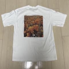 THE NORTH FACE ノースフェイス 半袖Tシャツ ホワイトのサムネイル